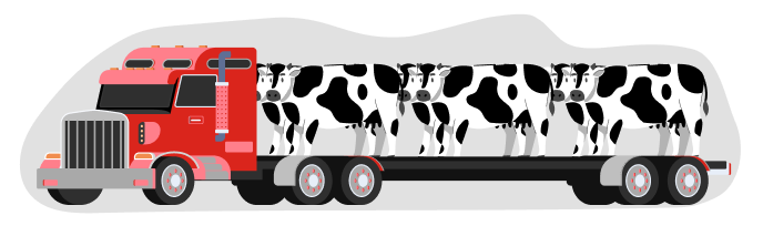 Иллюстрация (3)